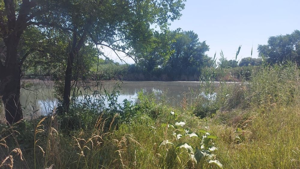 Продам озеро и кашар