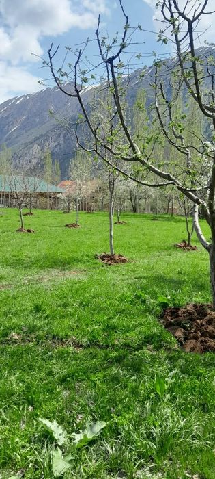 Участка сотилади