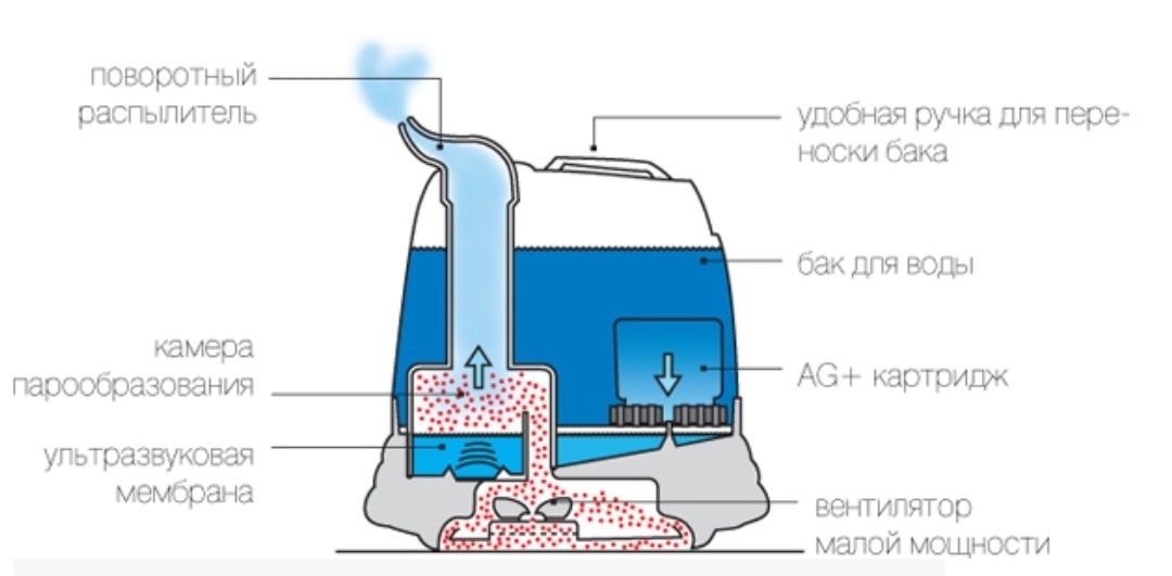 Вода для увлажнителя воздуха. Увлажнитель воздуха Boneco 7135 схема электрическая. Принцип работы ультразвукового увлажнителя воздуха. Принцип работы увлажнителя воздуха ультразвукового Polaris. Паровой увлажнитель воздуха принцип работы.