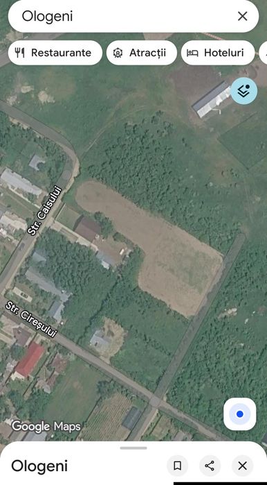 Vând teren intravilan in Ologeni