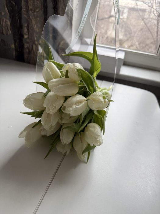 Продам  Тюльпаны