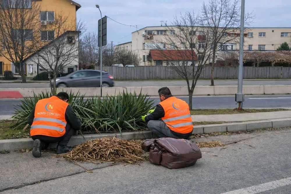 Servicii de Gradinarit, Tuns Gazon, Cosire, Curățare Curți – Servicii PF și Firme