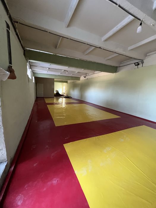 MAT kavyor pokrival sport zallari fitness clublar uchun oktagon