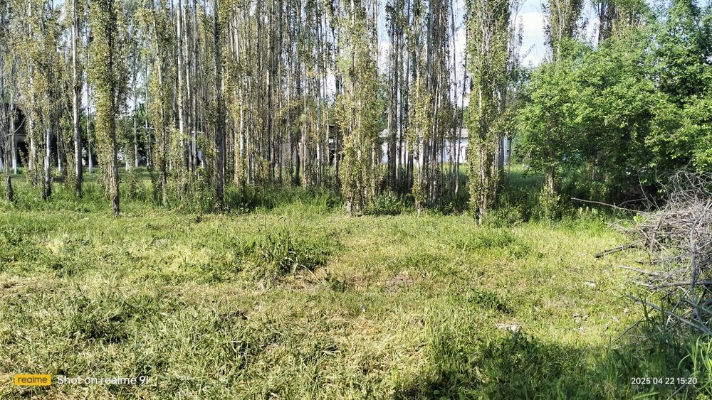 Земля в аренду Орта Чирчик