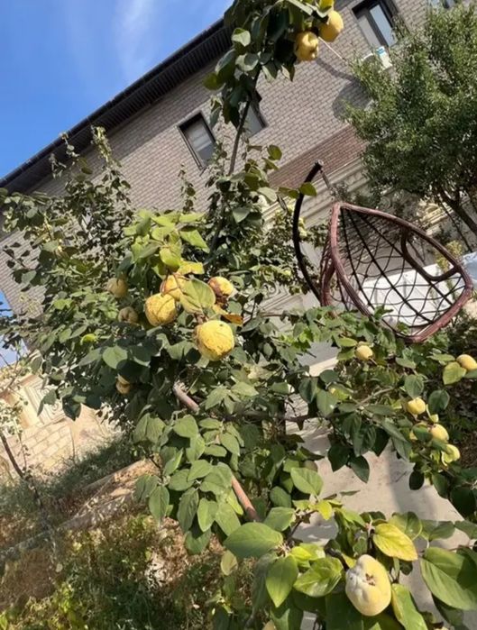 Участок с по стройкой