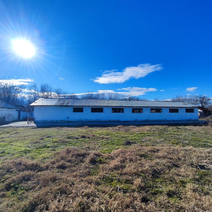 Давам Под наем 2 Халета с 5 дка. Двор + 2 рибарника