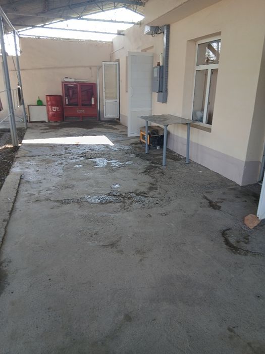 Ushastka 6 sotixl yangi toshkentda