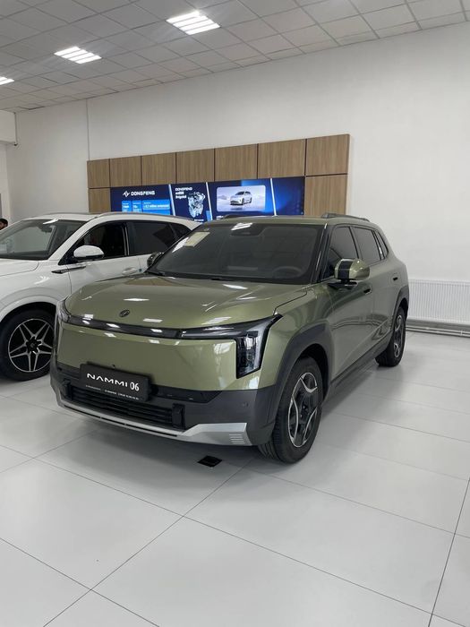 Nammi 06 electromobil
