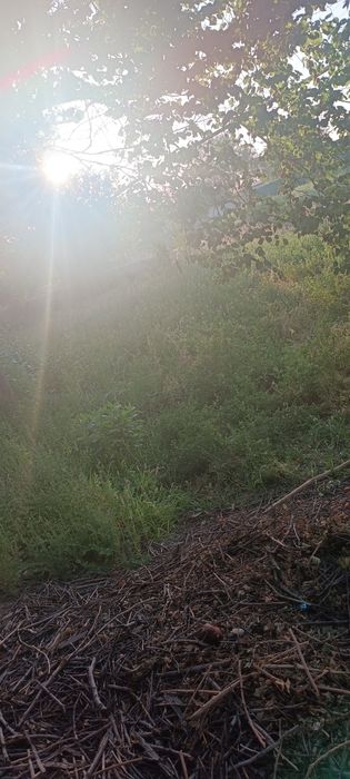 Òriladigan òt va deraza eshiklik 5dona