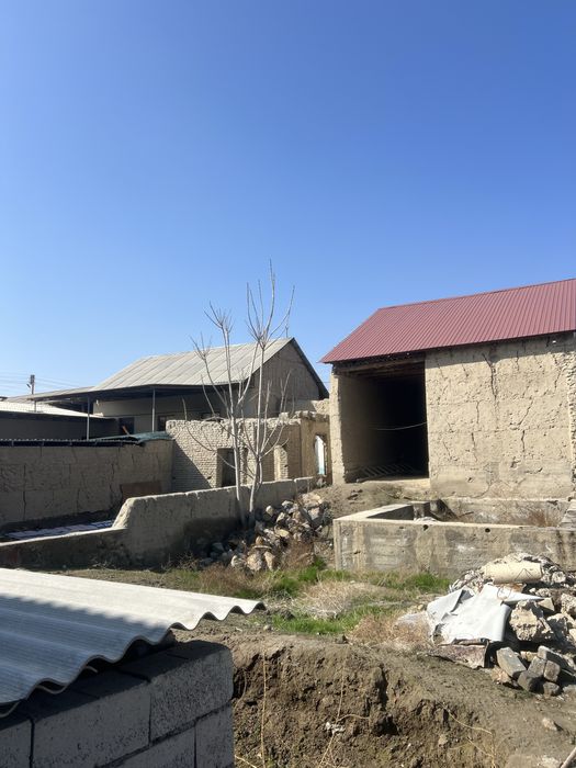 Hovli.          .