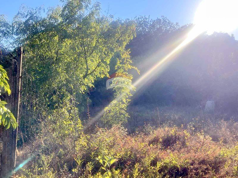 УПИ, м-ст Манастирски Рид, кв. Виница, гр. Варна, ТМ