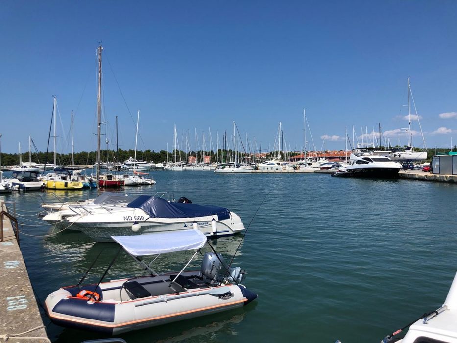 Barca pneumatica Kolibri cu moto Honda de 20CP