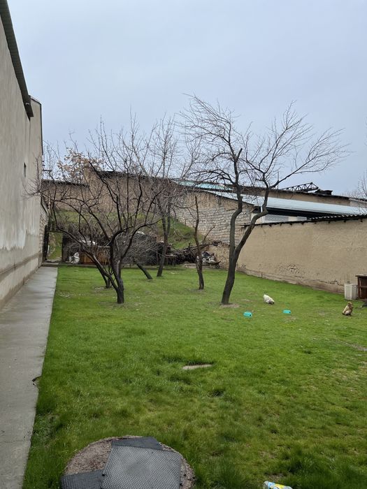 Olmazor mevazorda yer hisobida uy