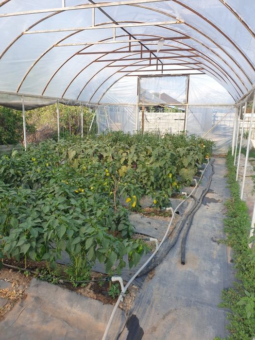 Теплица в комплекте