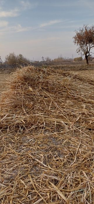 Станция Найман кол