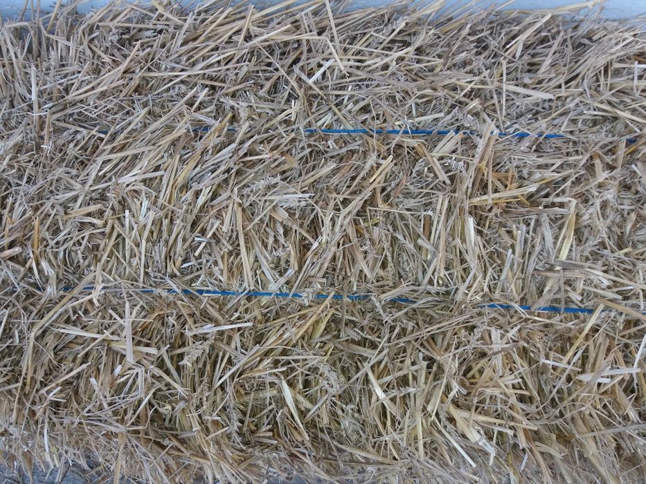 Baloți de paie drepugilar