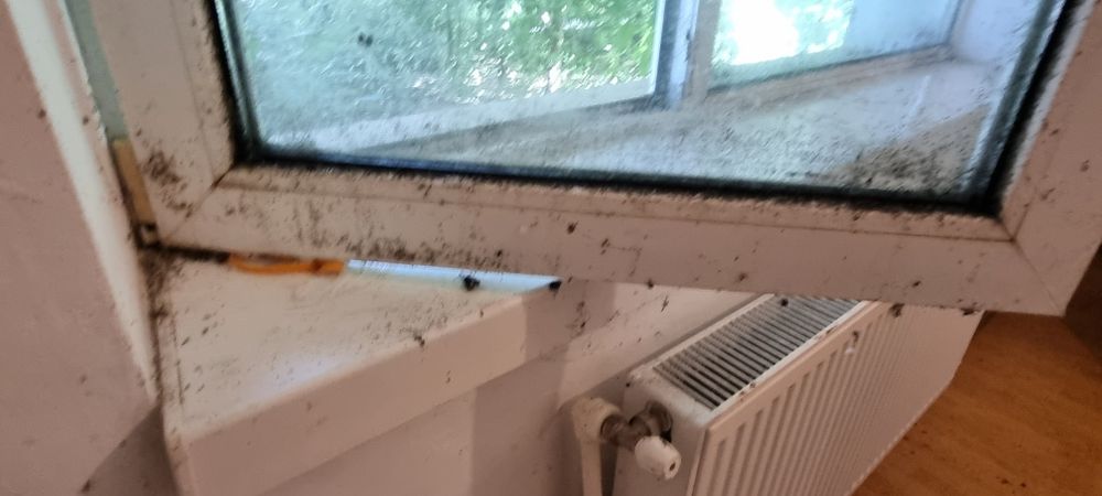 Servicii  de curățenie la domiciliu ,case,, apartamente,curatare salte