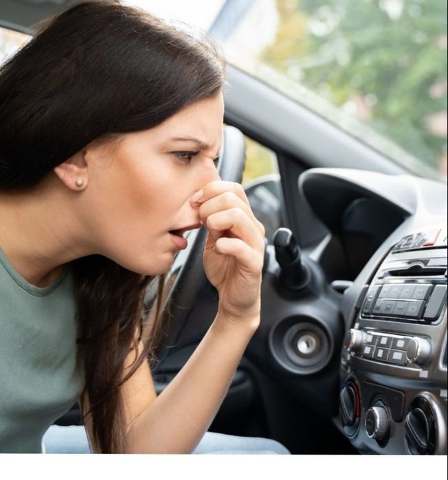 Dezinfectare profesională cu Ozon