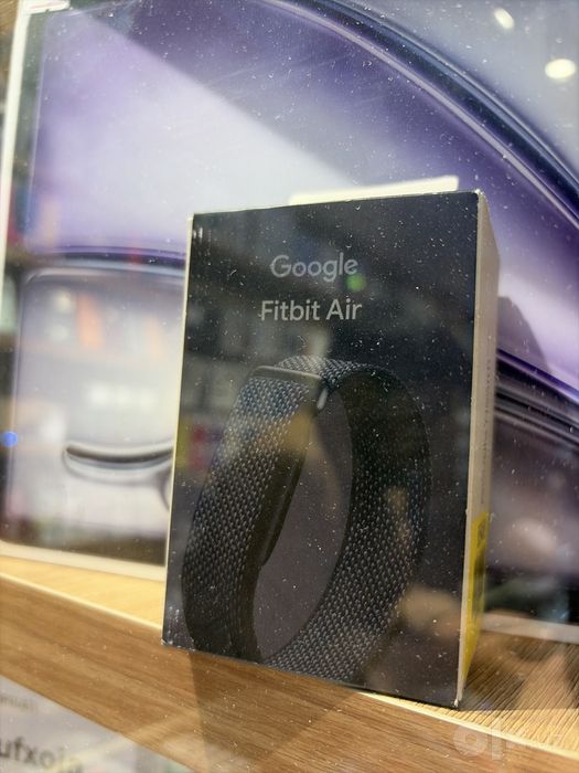 Google Fitbit Air