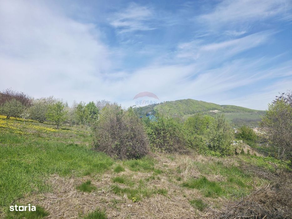 Teren 1,000mp Piatra-Neamt / Zona Fermelor