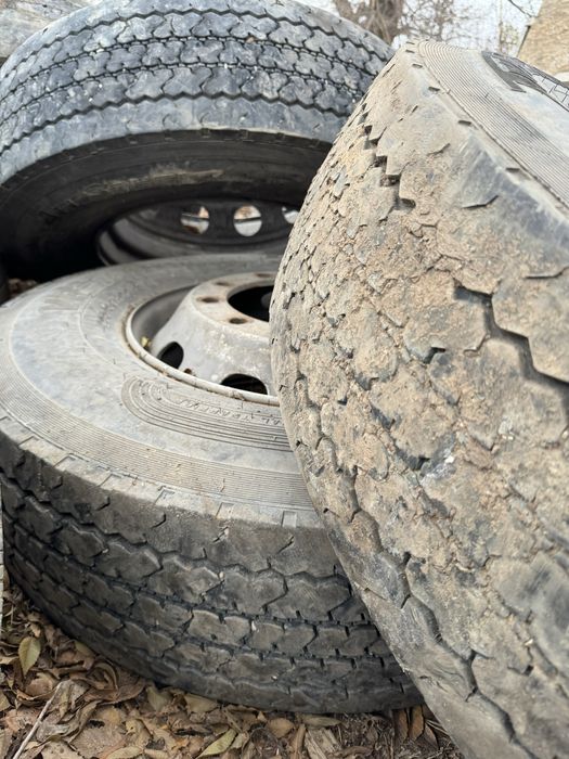 Шины 295/80/22.5