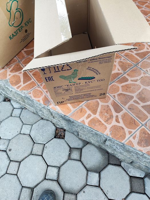 Продам картонные коробки б/у из под яиц