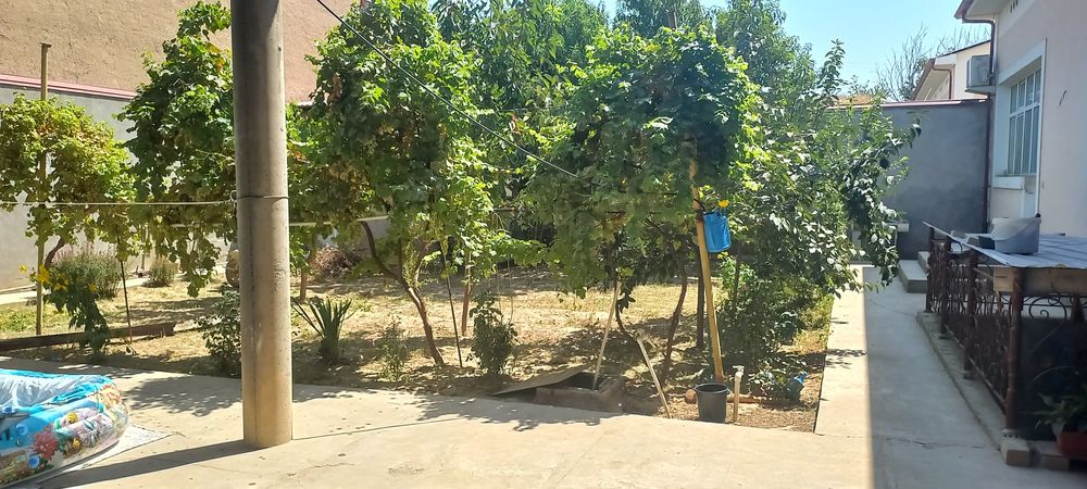 Ko‘chmas mulk: xovli