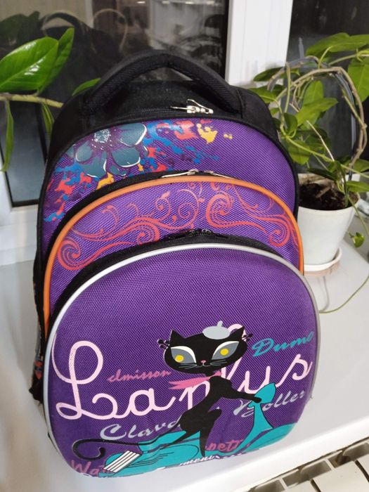 Рюкзак школьный бу 3000