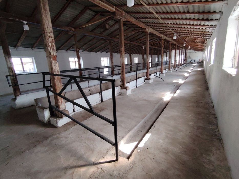 Ferma 50 sotixlik sotiladi