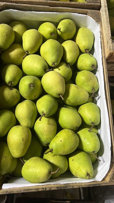 Vindem mere și pere EN-GROS