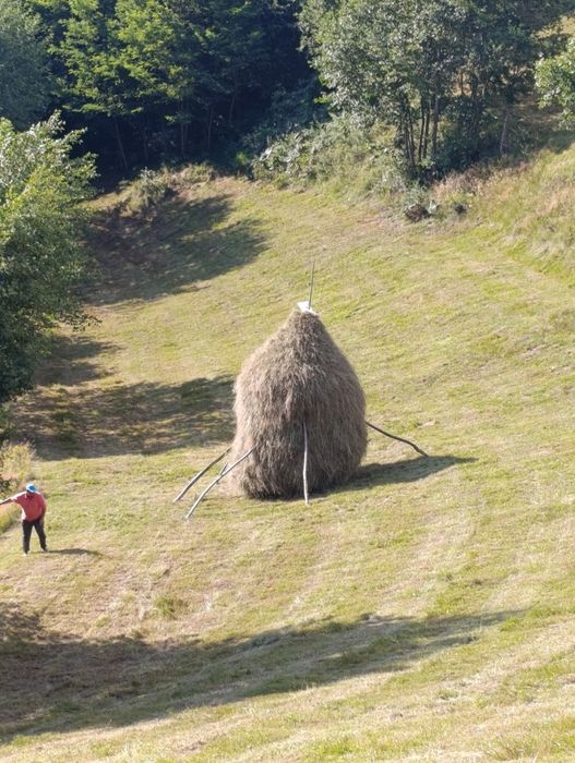 De vânzare 3 clăi de fan de față