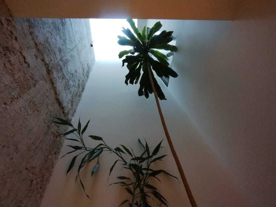 Дава се под наем Едностаен апартамент в София, Център - 40 кв.м за 600 € - Снимка #16