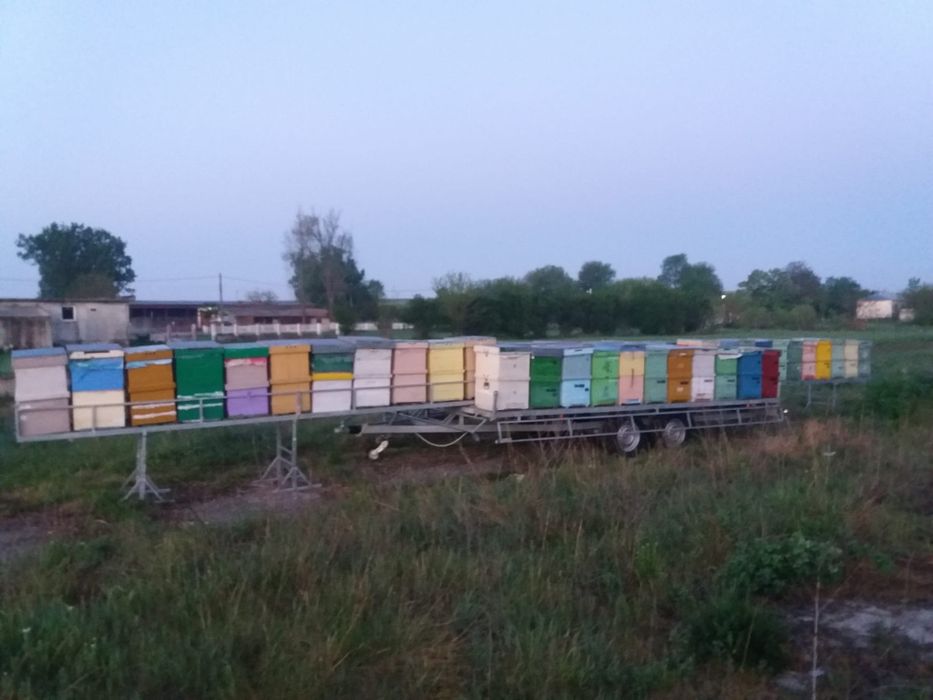 Remorca Apicola An 2019