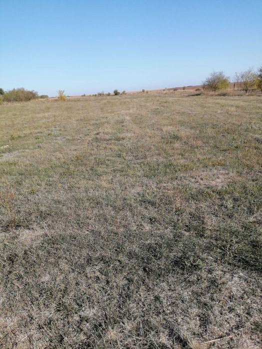 Продава се Парцел в Монтана, Идеален център - 3000 кв.м за 3 €/кв.м - Снимка #2