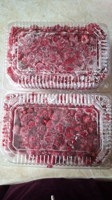 Malina bor / Малина