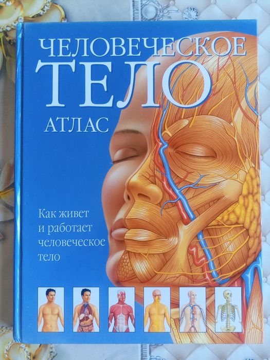 Buvi qora katta anal tube