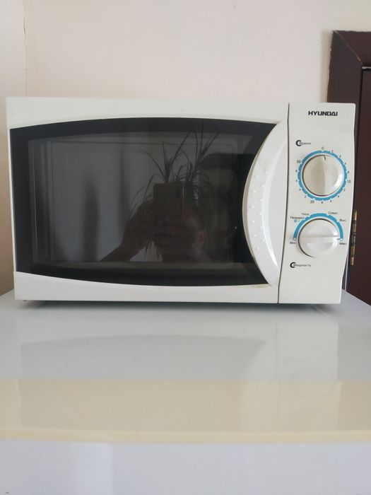 Микроволновая печь