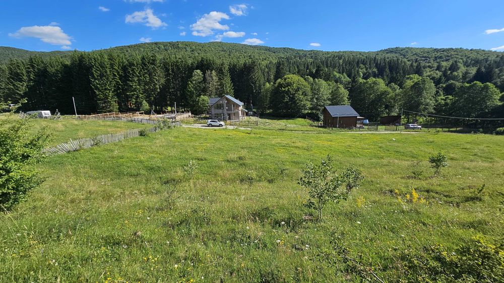 Teren 2.290 mp intravilan Valea Doftanei. Deschidere strada 51+40 m