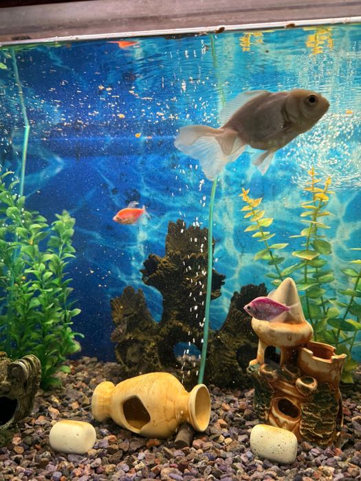 Продам Аквариум на 144 литра