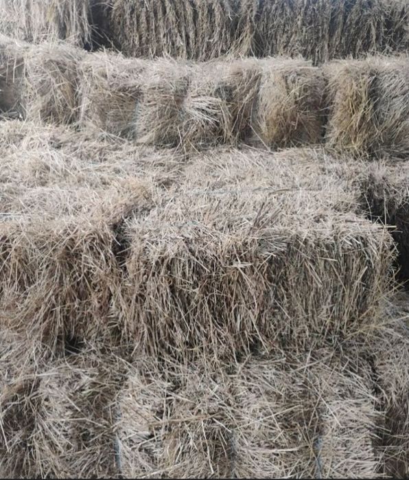 Baloți paie sau otavă