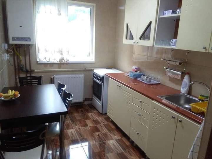 Apartament 2 camere de închiriat în Sinaia