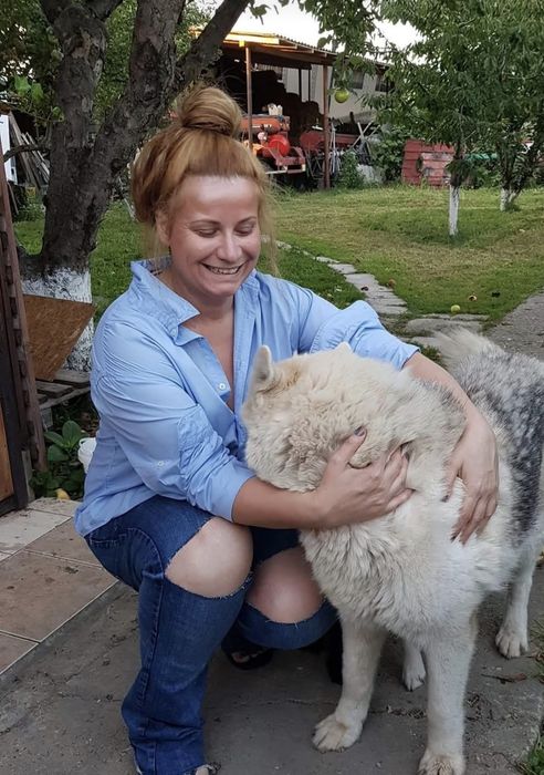 Meditații  limba germană