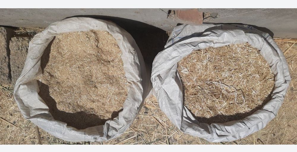 Qamich+Lomboz+Somon mayda(Xasanboyda Dastavka chiqaramiz)