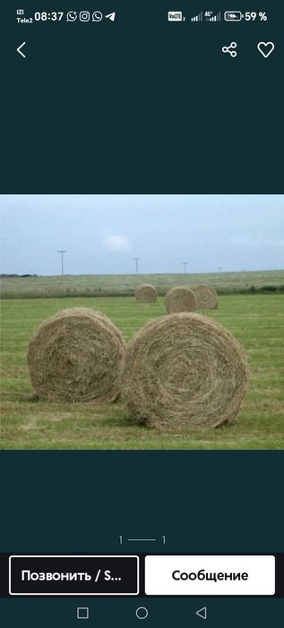 Продам сено находится село Озерки