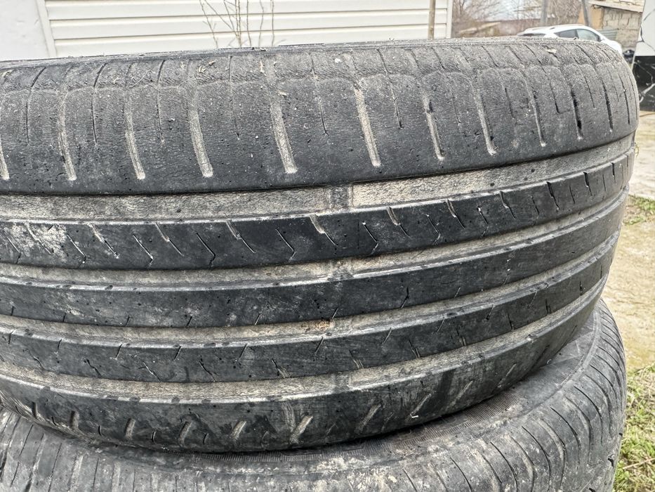 летние шины б,у 16/55/205