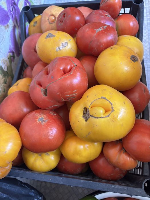 Продам помидоры со своего огорода