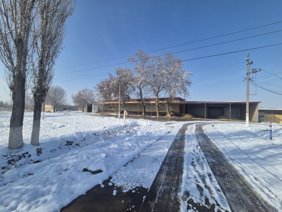 Кафе,ошхона,столовый,на трассе