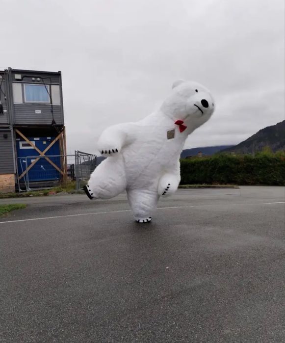 Аниматор костюмы