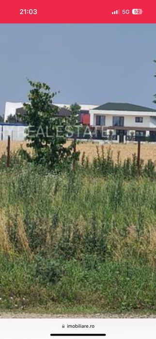 Teren intravilan Buftea lac cu PUZ