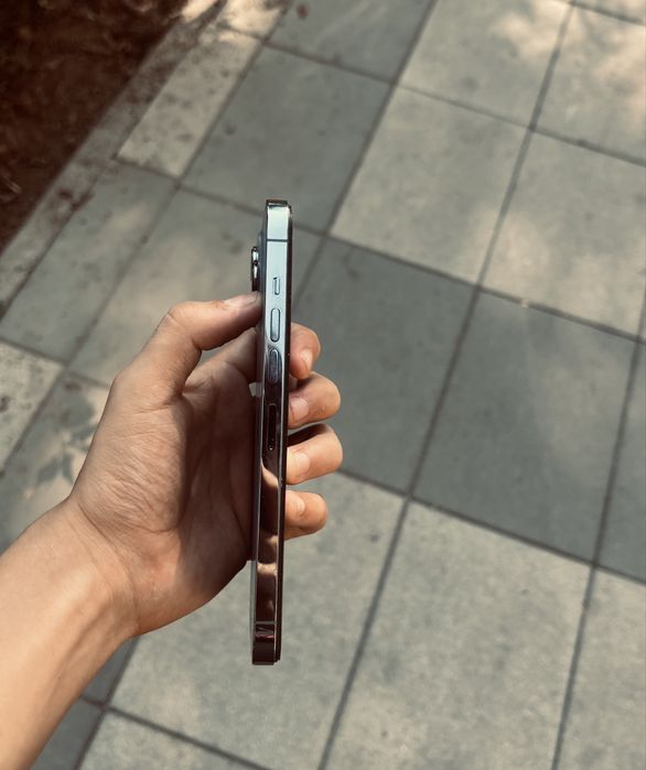 iPhone 13 PRO MAX